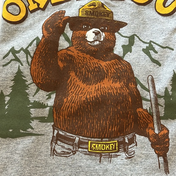 NWT Smokey Bear Fire Prevention 🔥 Tee Shirt Women’s M Wildland Firefighter Gray - Picture 16 of 16